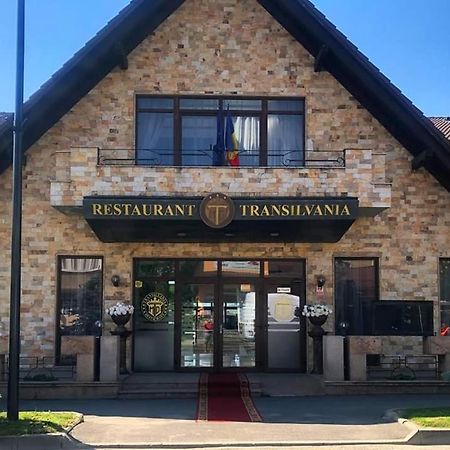 Vila Restaurant Transilvania Hotel Zarnesti Exterior photo